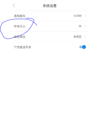 如何改变字体大小截图3