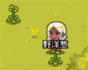 新手攻略9