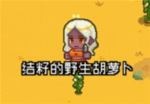 新手攻略12