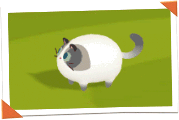 猫咪图鉴3