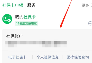湛江随身社保APP电子社保卡怎么用