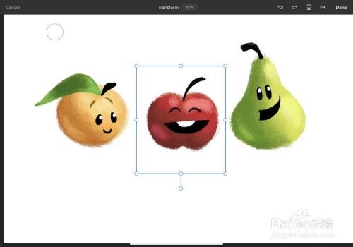 Adobe Fresco基本工具指南截图22