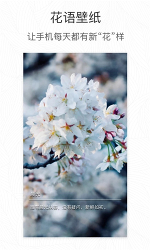 形色植物识别app 第2张图片
