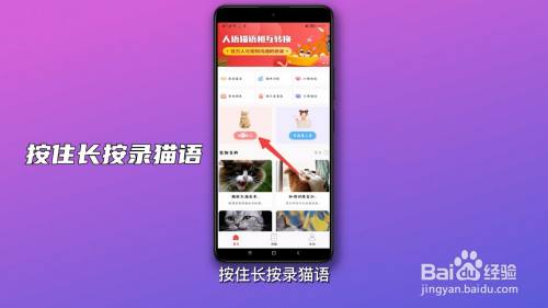 人猫狗翻译器怎么使用截图3