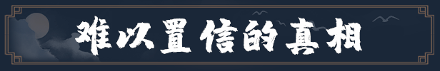 天命奇御归途绿色版特色3