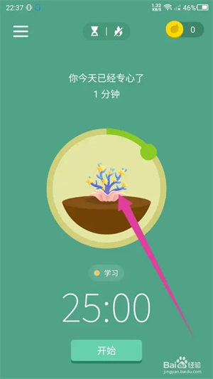 forest专注森林最新版怎么更换种植的树1