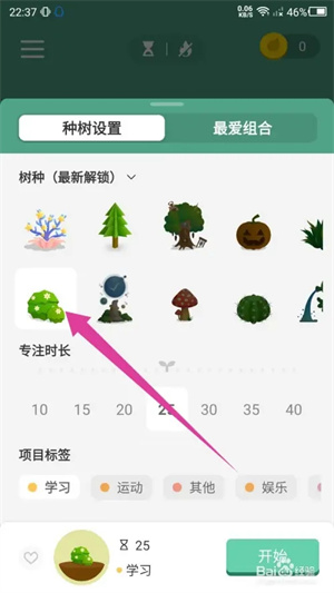 forest专注森林最新版怎么更换种植的树2