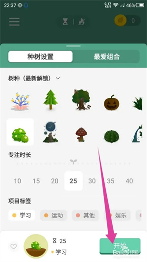 forest专注森林最新版怎么更换种植的树3