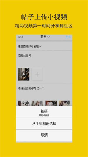 软件介绍截图