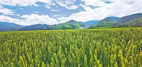 农业简介截图