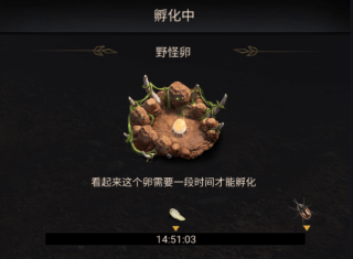 野怪的进阶培养攻略2