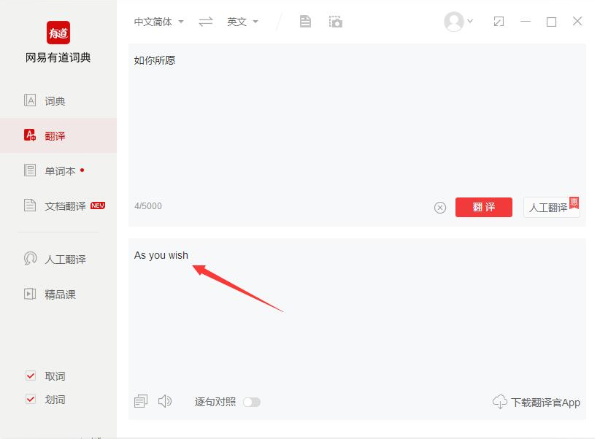 有道词典使用方法截图4