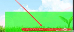 inpaint怎么去水印截图3