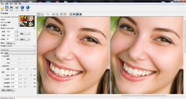 PhotoZoom Classic 8特别版 第2张图片