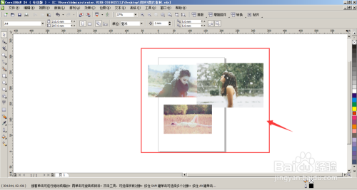 coreldraw怎么导出jpg图片截图3