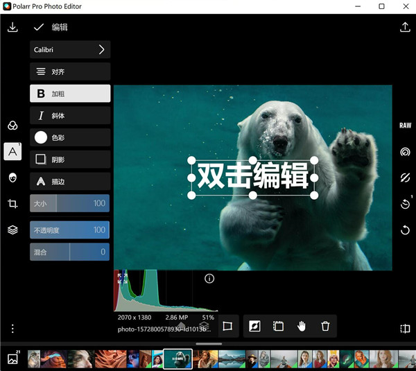 Polarr最新版下载 第2张图片