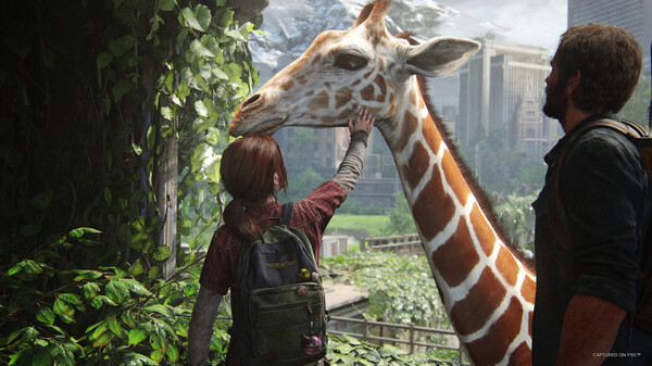 最后的生还者ps3破解版 第1张图片
