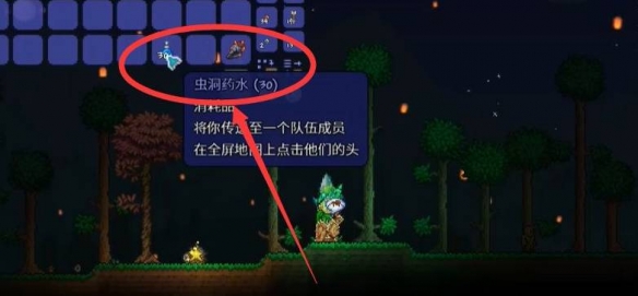 Terraria虫洞药水怎么用2