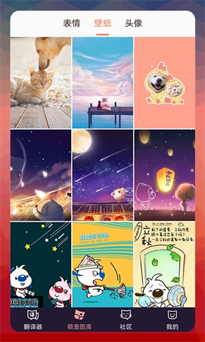 猫语翻译器免费版 第3张图片