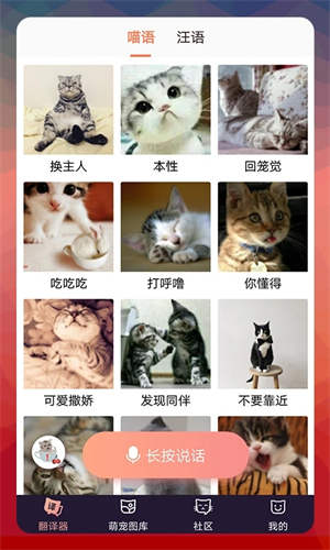 猫语翻译器免费版 第1张图片