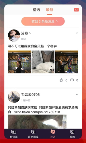 猫语翻译器免费版 第2张图片