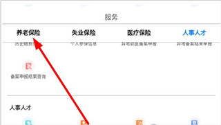 怎么年检养老保险截图1