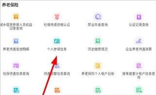 怎么年检养老保险截图2