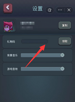 礼包码使用教程截图4