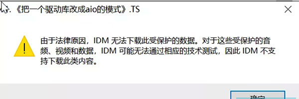 Internet Download Manager中文免费版使用技巧5