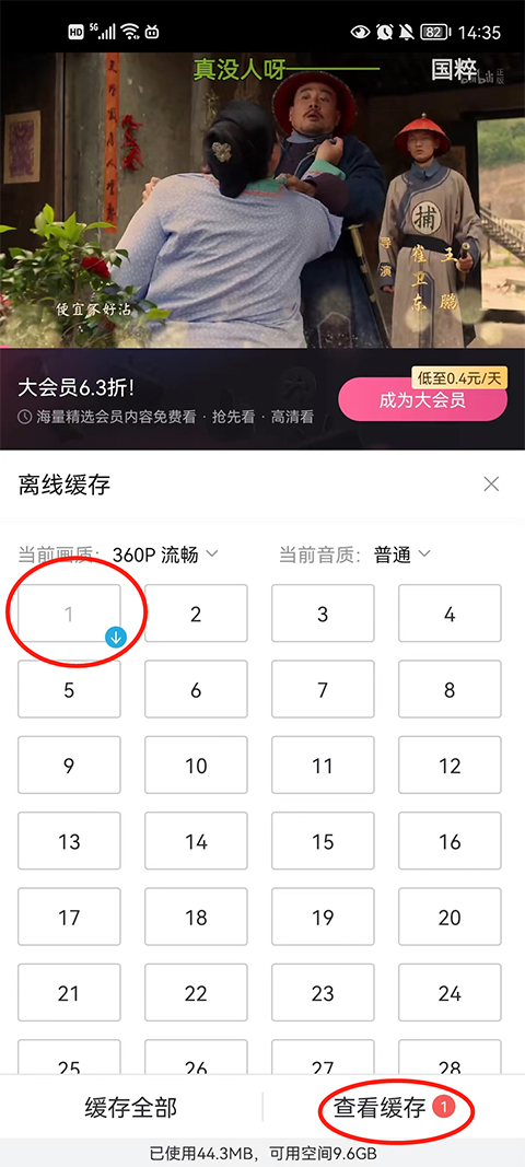 缓存的视频在哪截图1