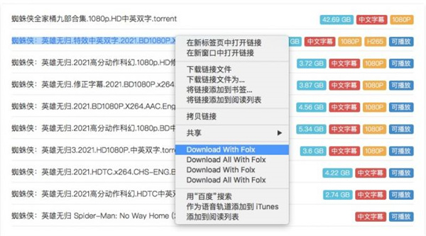 Folx下载磁力链接方法1