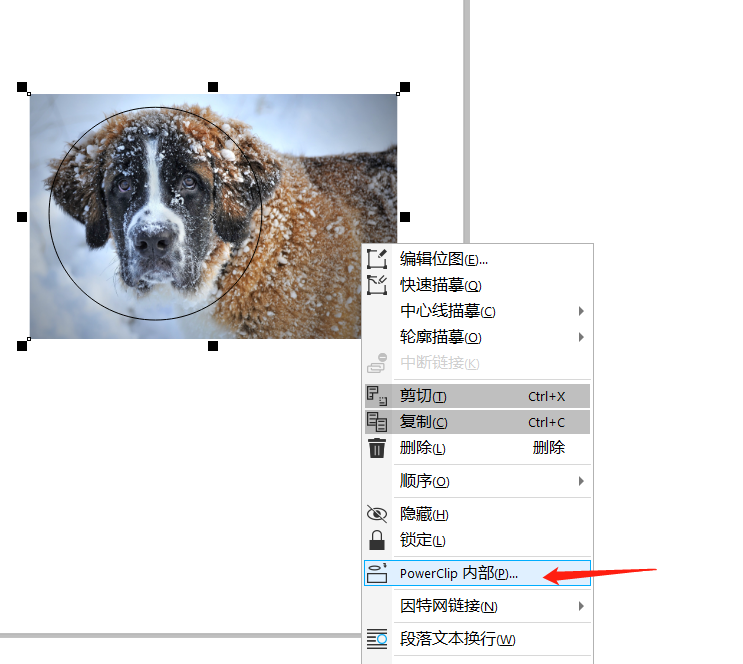 怎么把图片放进形状里4