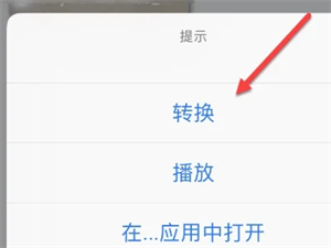 MP3转换器免费版苹果手机里的转换资源打不开怎么办截图3