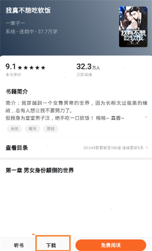 番茄小说免费阅读电脑版如何下载小说截图4