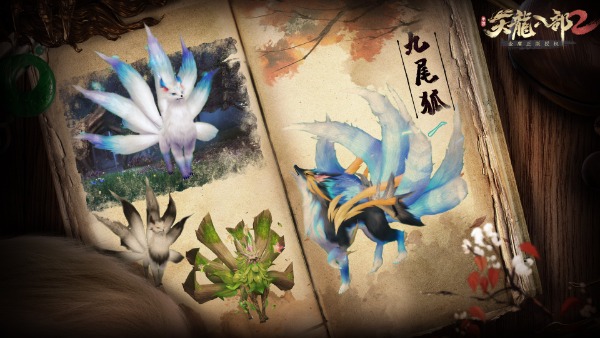 极品宠物推荐截图2