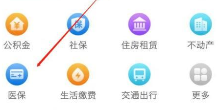 辽宁医保APP怎么网上缴费1