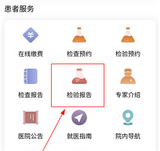 查看检查报告截图1