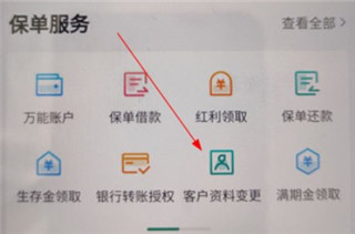 怎么变更身份信息截图2