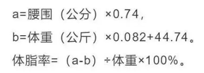 看体测3