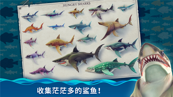 饥饿鲨世界11亿钻石版有鲨鱼皮肤游戏特点