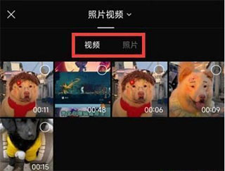 模板在哪里截图2