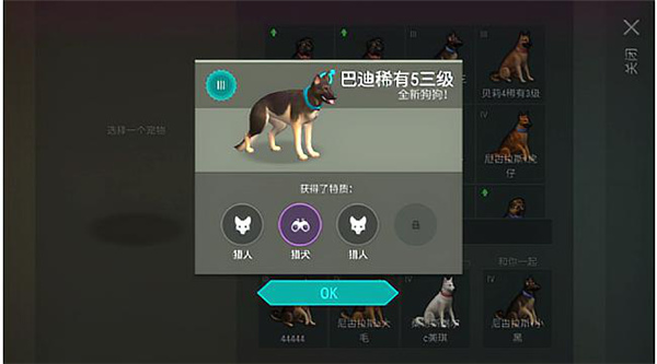 世界末日生存官方正版怎么带狗4
