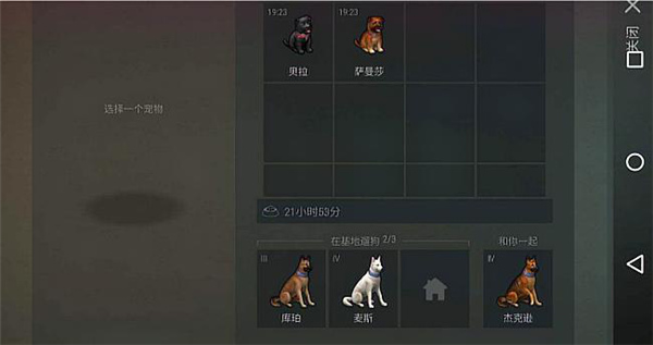 世界末日生存官方正版怎么带狗5
