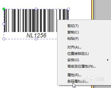 NiceLabel专业版使用方法截图2