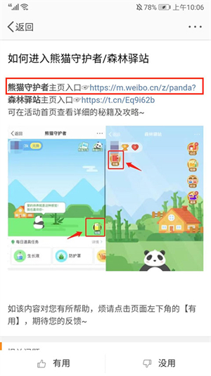 养熊猫截图6