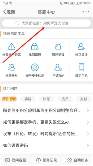 养熊猫截图4