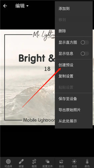 DNG格式预设保存教程截图10