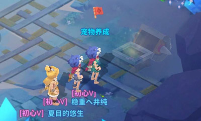 新手快速入门技巧攻略截图1