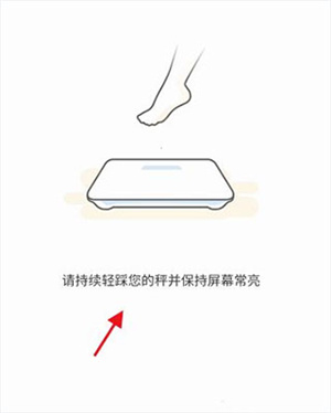 怎么和体脂秤连接截图4