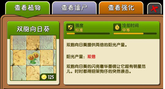 向日葵、双胞向日葵